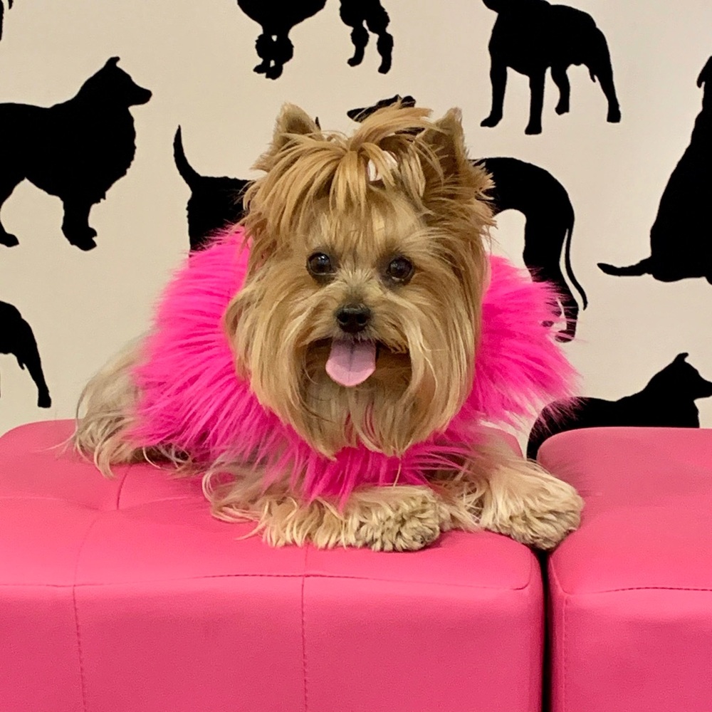 Meet your Posher, Oksana